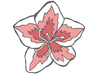 AZALEA FLOWER.gif